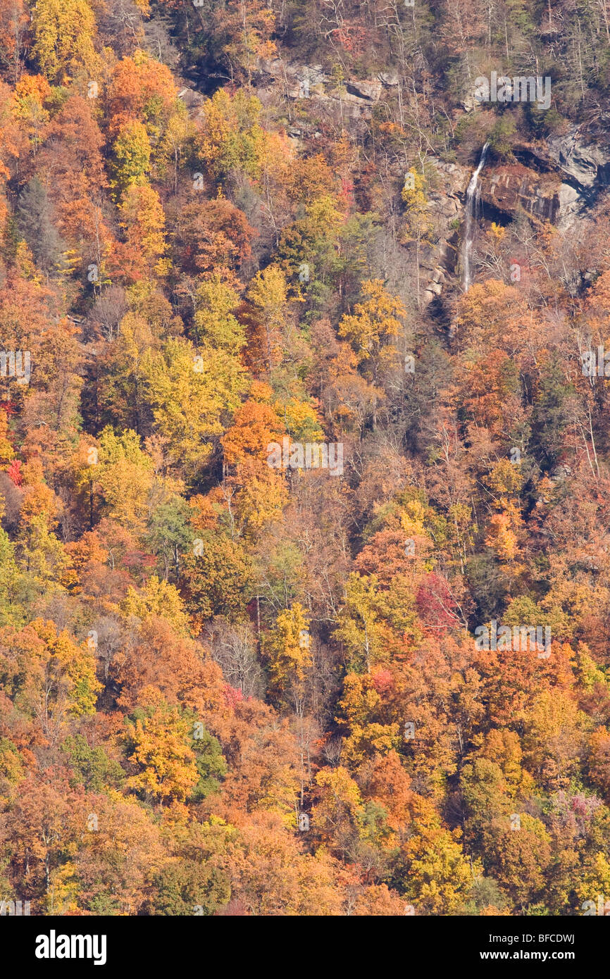 Fall folliage lointain et cascade de Chimney Rock, NC, USA. Banque D'Images