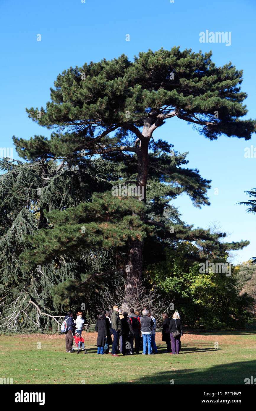 United Kingdom West London Kew gardens une visite guidée Banque D'Images