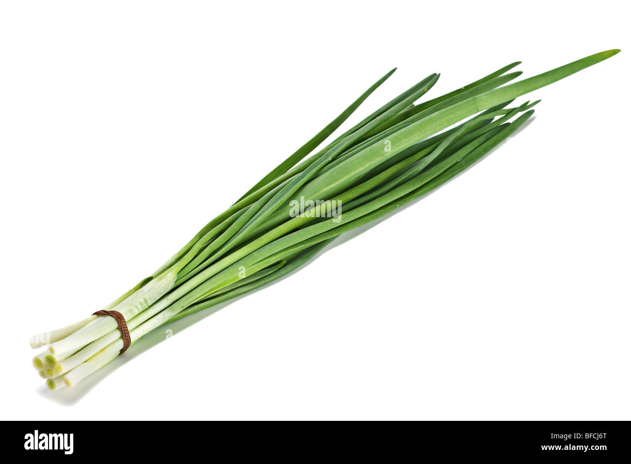 Oignon vert frais bouquet sur fond blanc Banque D'Images