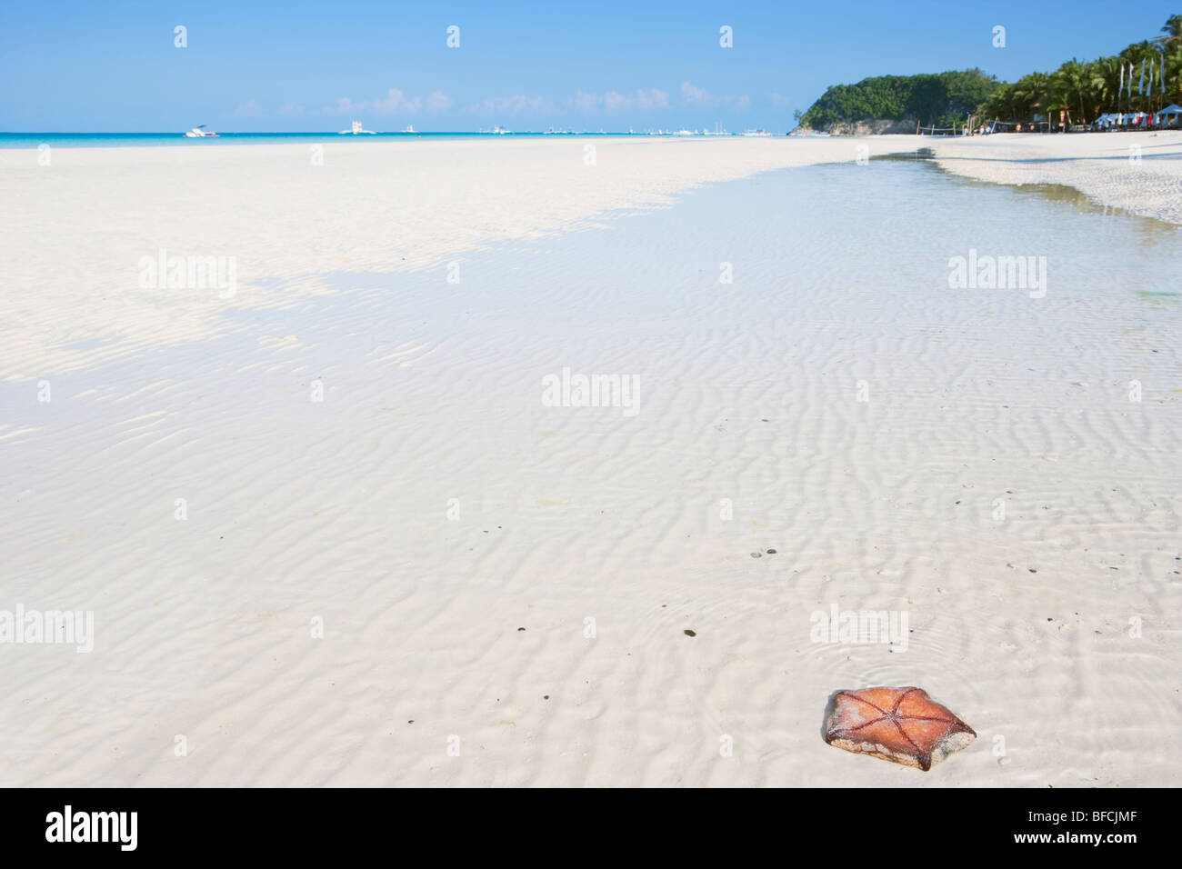 Étoiles de mer sur la plage de sable blanc de Boracay, Philippines ...