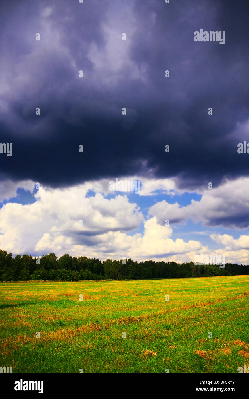 Paysage rural d'été avant la tempête. Banque D'Images