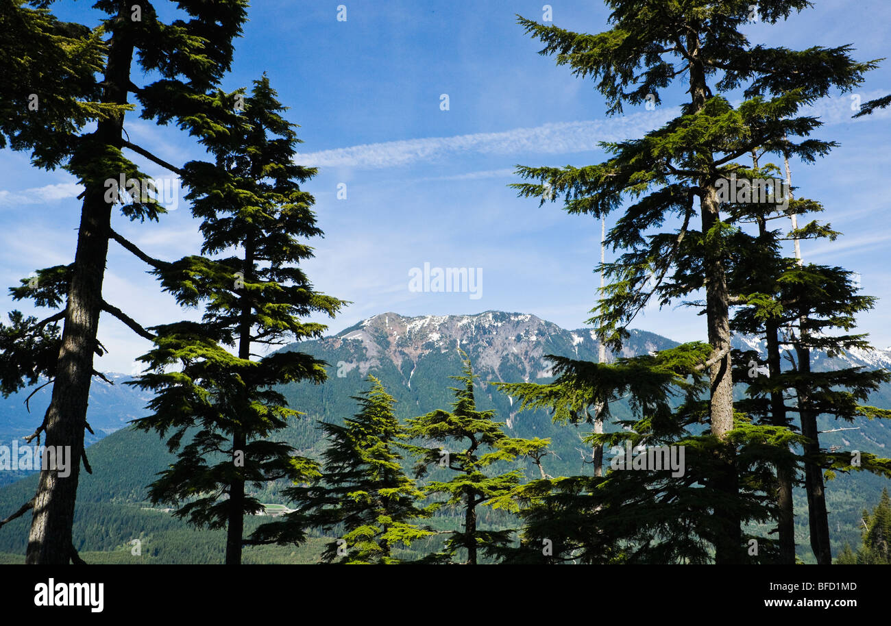 Une vue sur le pic de la boîte aux lettres de Mt Washington près de l'Interstate 90 dans la gamme des Cascades de Washington, USA. Banque D'Images