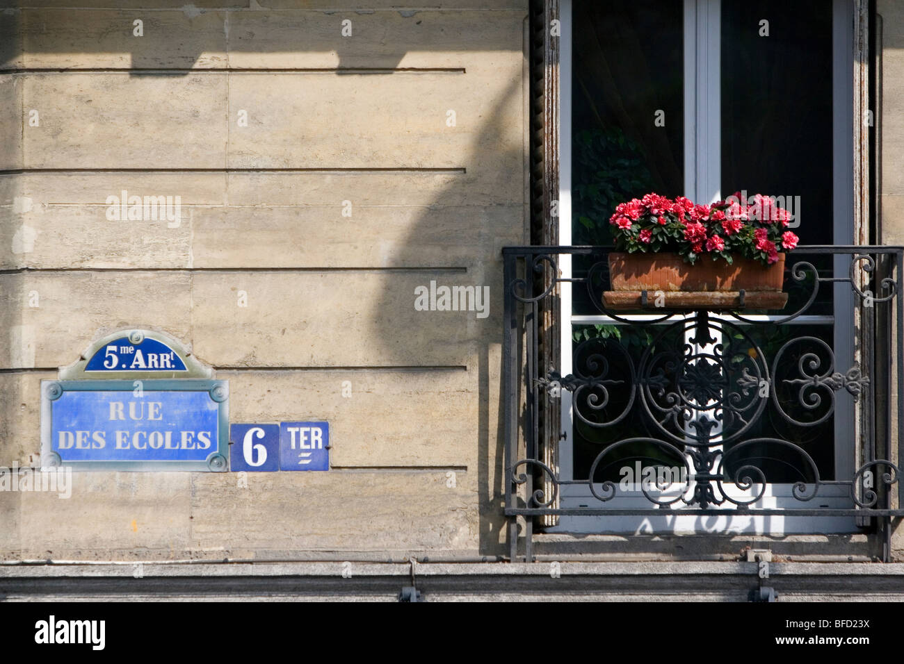 Boîte à fleurs sur le balcon d'un immeuble situé dans le Quartier Latin de Paris, France. Banque D'Images