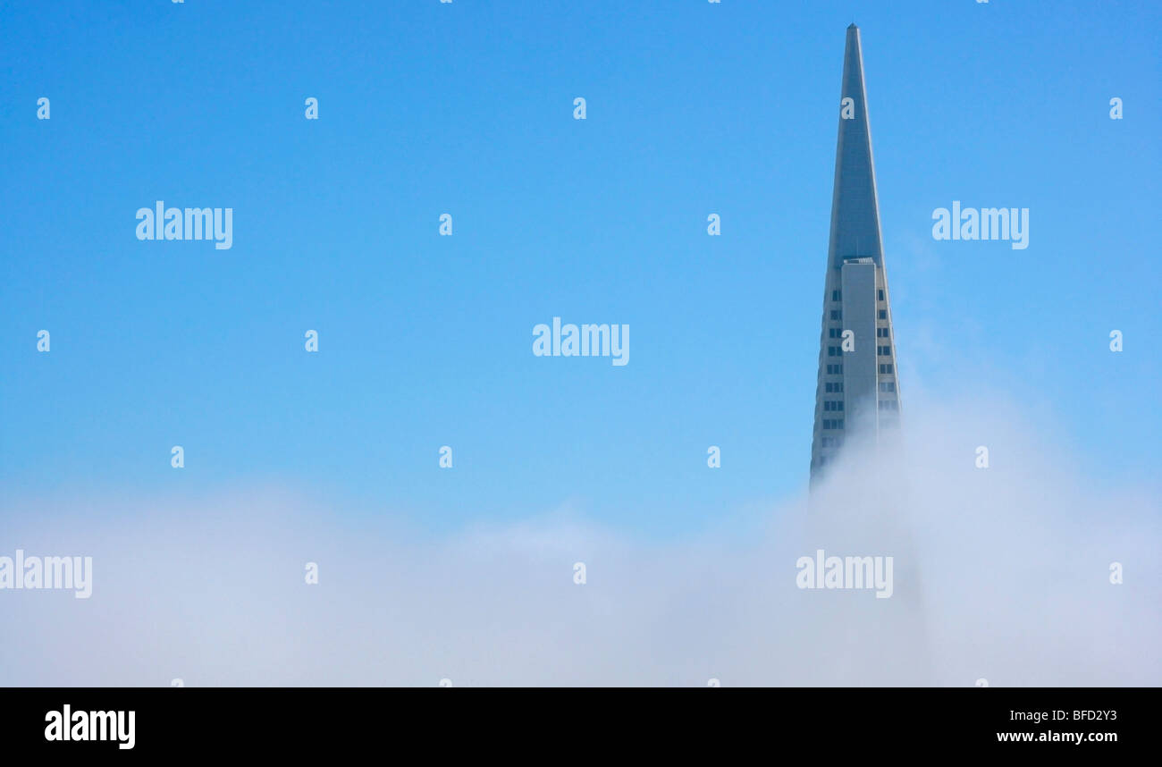 Trans America Pyramid San Francisco dans le brouillard Banque D'Images