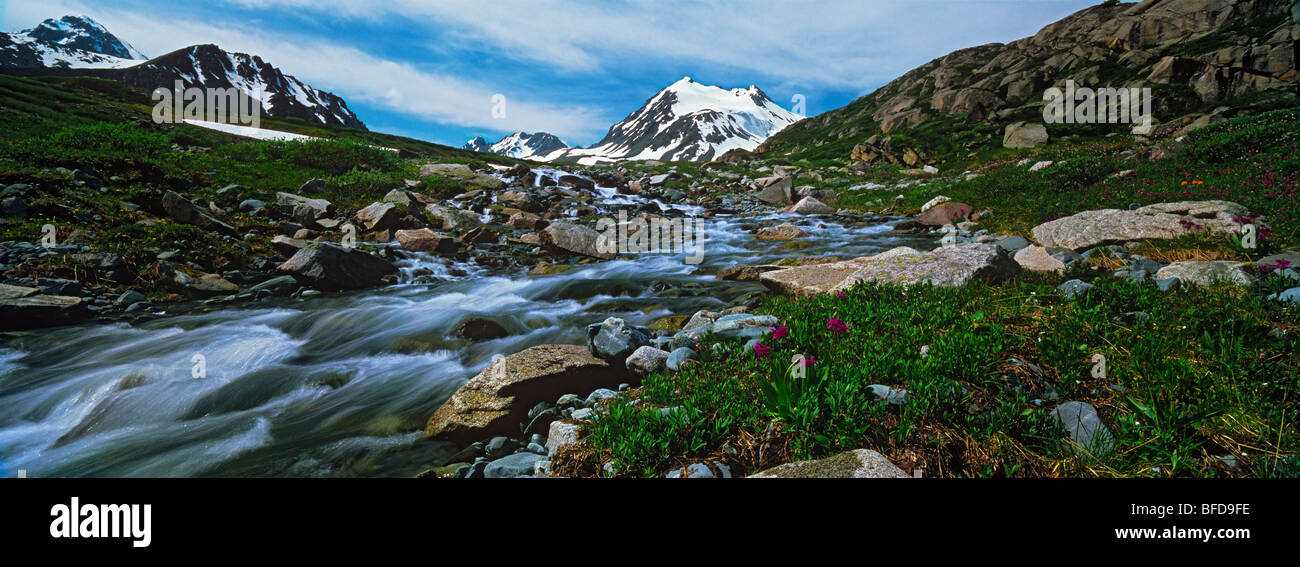 Ioldo la rivière et la crête de Katun. Les montagnes de l'Altaï, en Sibérie, Fédération de Russie Banque D'Images