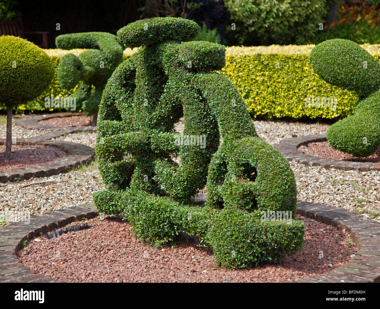 Penny Farthing de topiaires Banque D'Images