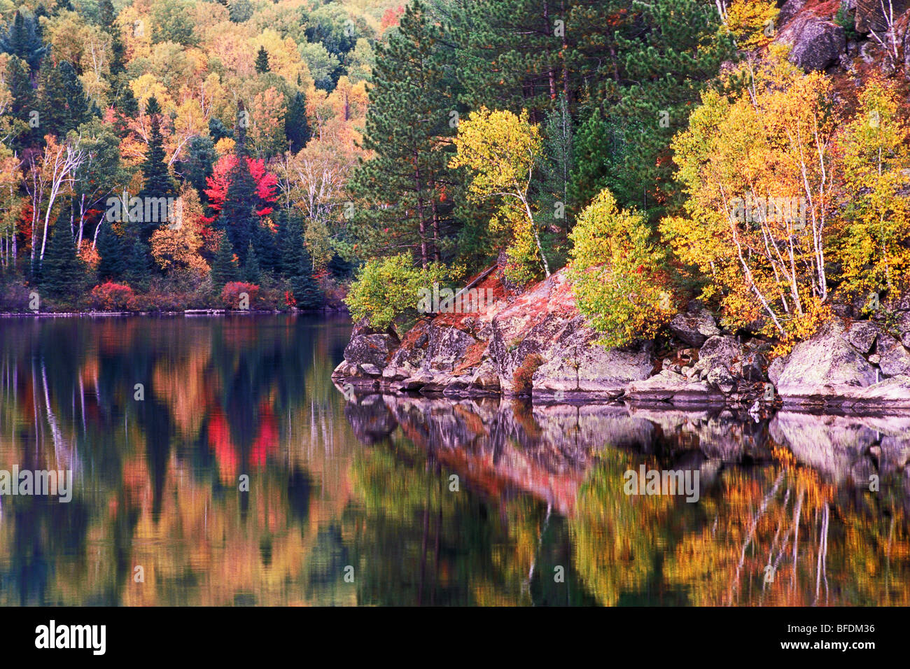 Costello Lake en automne, Algonquin Provincial Park, Ontario, Canada Banque D'Images