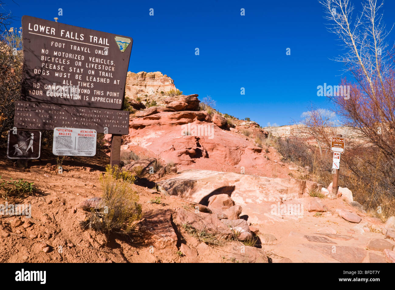 Inscrivez-vous au moindre petit Creek Falls trail, de Grand Staircase-Escalante National Monument (Utah) Banque D'Images