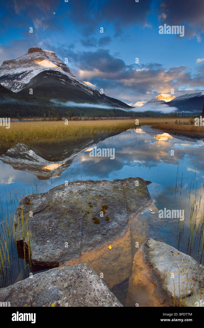 Les étangs de rempart avec Mont Athabasca et le Mont Amery, Banff National Park, Alberta, Canada Banque D'Images