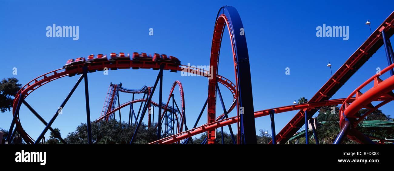 Le Scorpion Roller Coaster, Busch Gardens, Tampa Bay, Floride, USA Banque D'Images