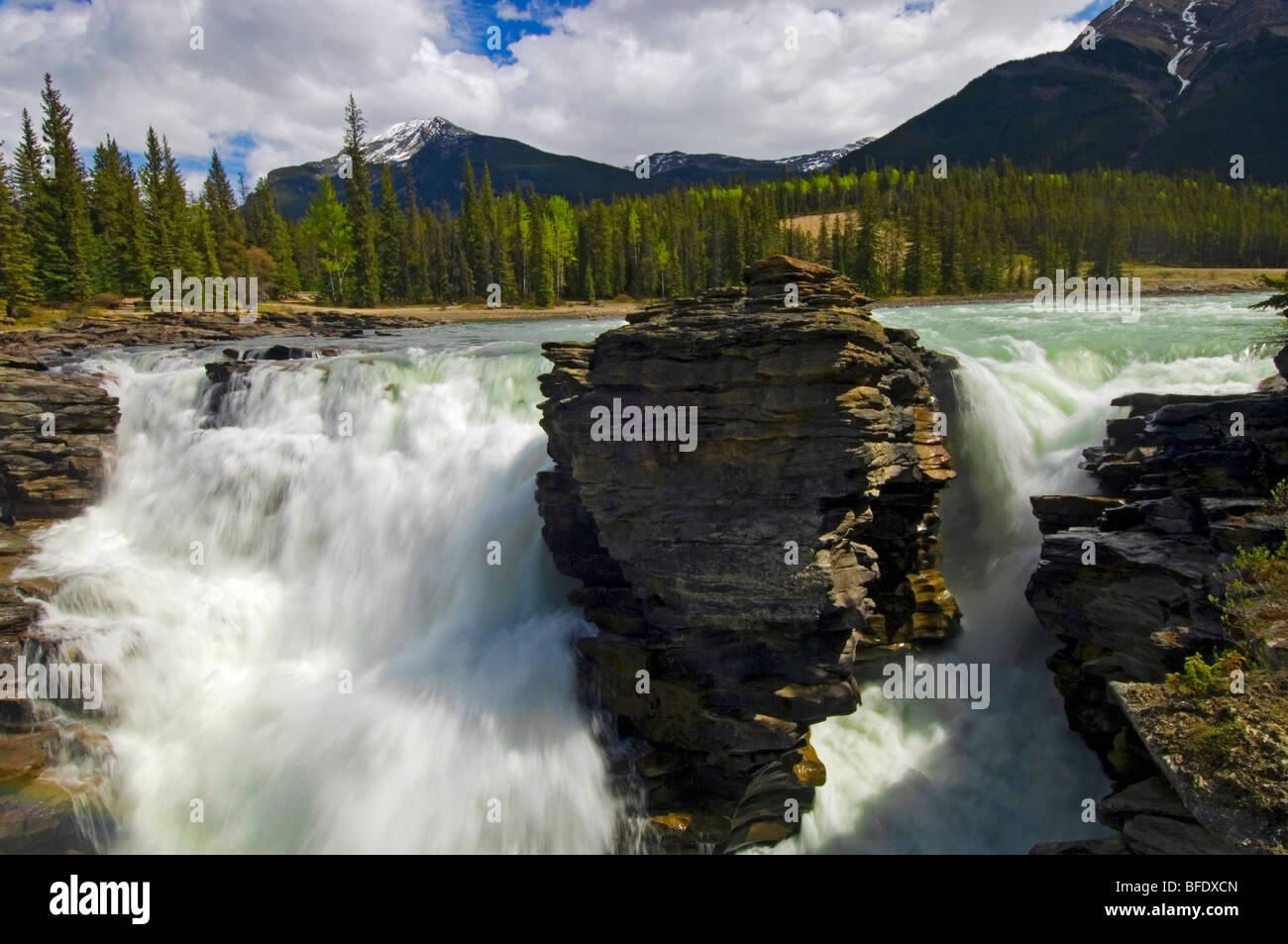 Pittoresque cascade, Chutes Athabasca, Jasper National Park, Alberta, Canada Banque D'Images