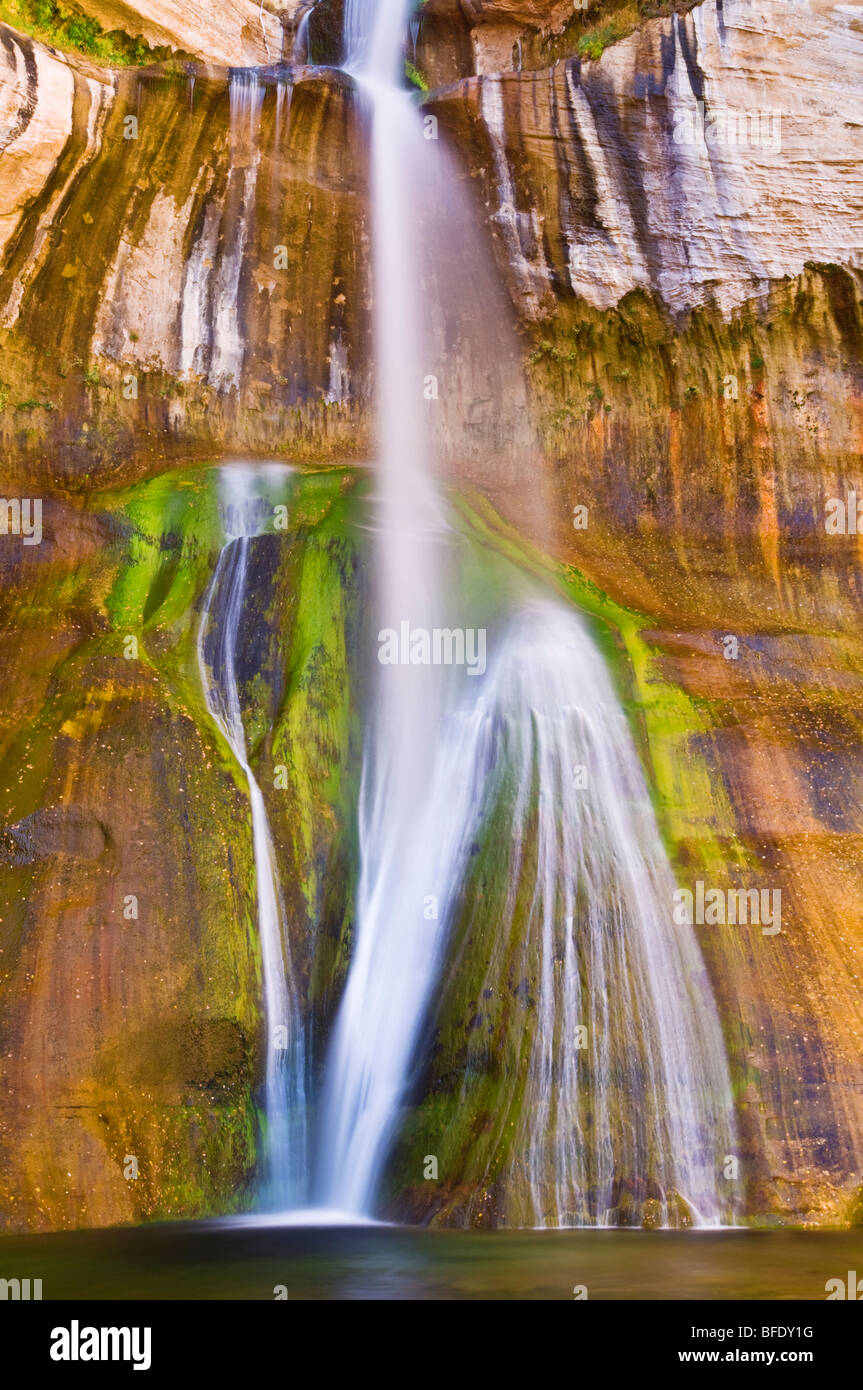 Veau inférieur Creek Falls, Grand Staircase-Escalante National Monument (Utah) Banque D'Images