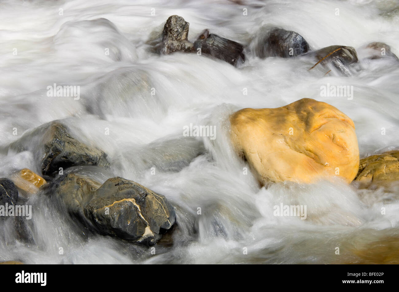 Détail de l'eau de cascade, Chutes Tangle, Jasper National Park, Alberta, Canada Banque D'Images