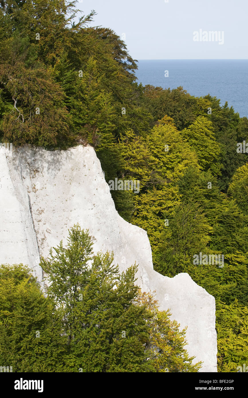Craie Koenigsstuhl, président du roi, dans le Parc National de Jasmund, monument de l'île de Rügen, Allemagne Banque D'Images