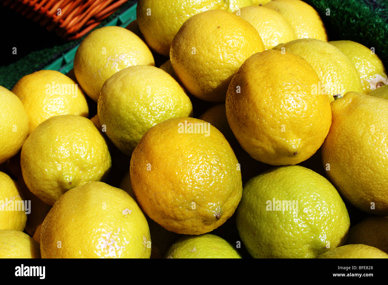 Famille des Rutacées Agrumes citron un fruit riche en vitamine C et largement utilisé dans les plats culinaires Banque D'Images