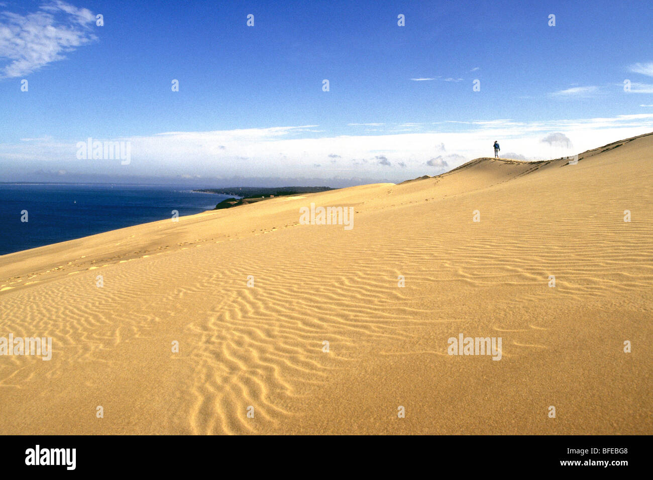 France Aquitaine Gironde ( 33 ) Pyla sur Mer Dune du Pilat près de Arcachon bay Banque D'Images