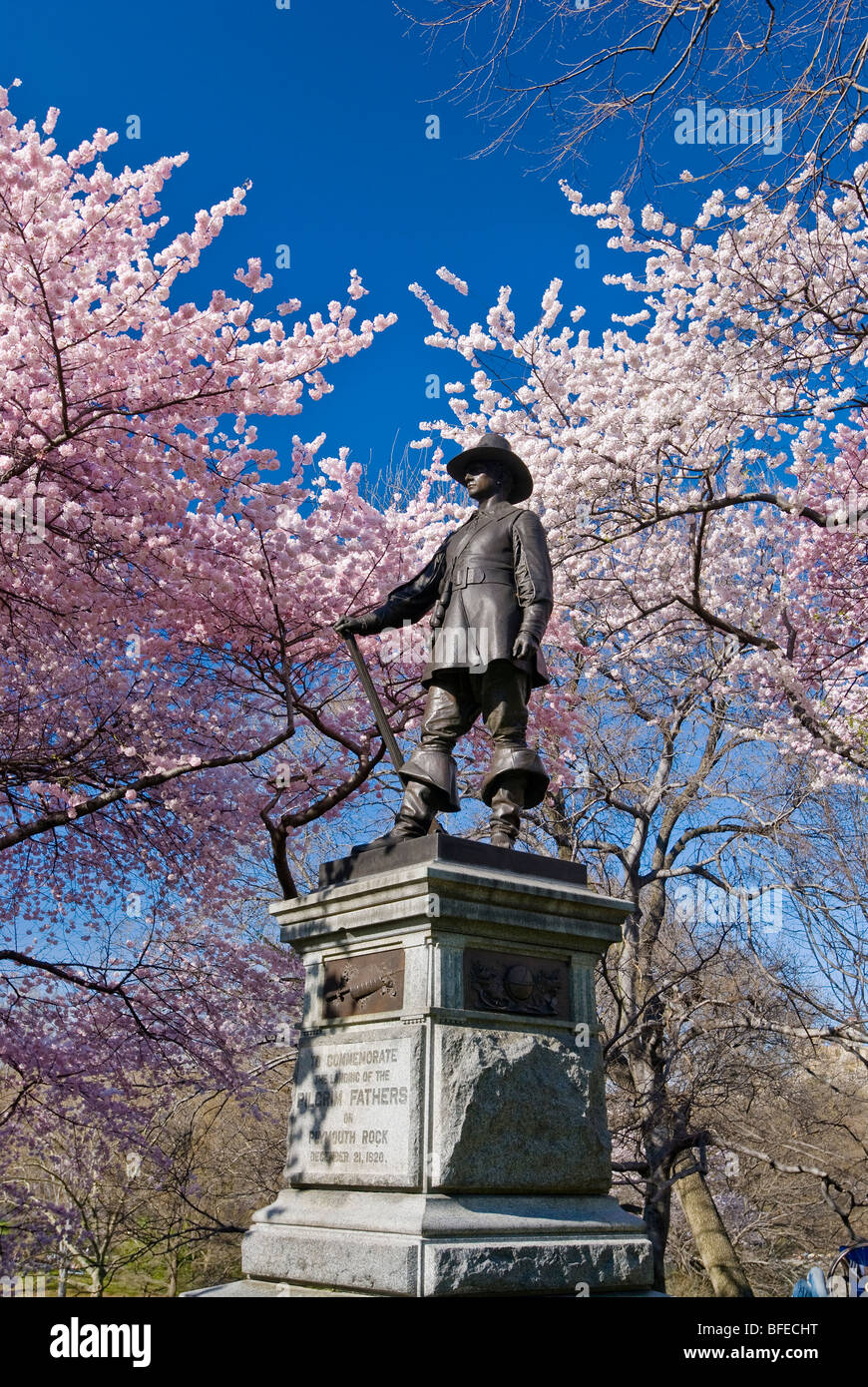 Pilgrim Hill dans Central Park, New York City. Banque D'Images