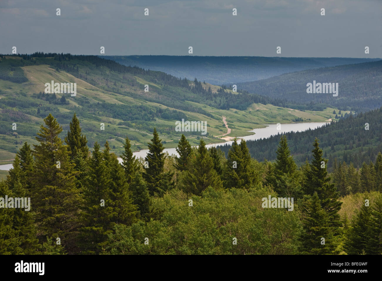 Sommaire des balades parc interprovincial Cypress Hills et Reesor Lac vu du point de vue du lac Reesor, Alberta, Canada Banque D'Images