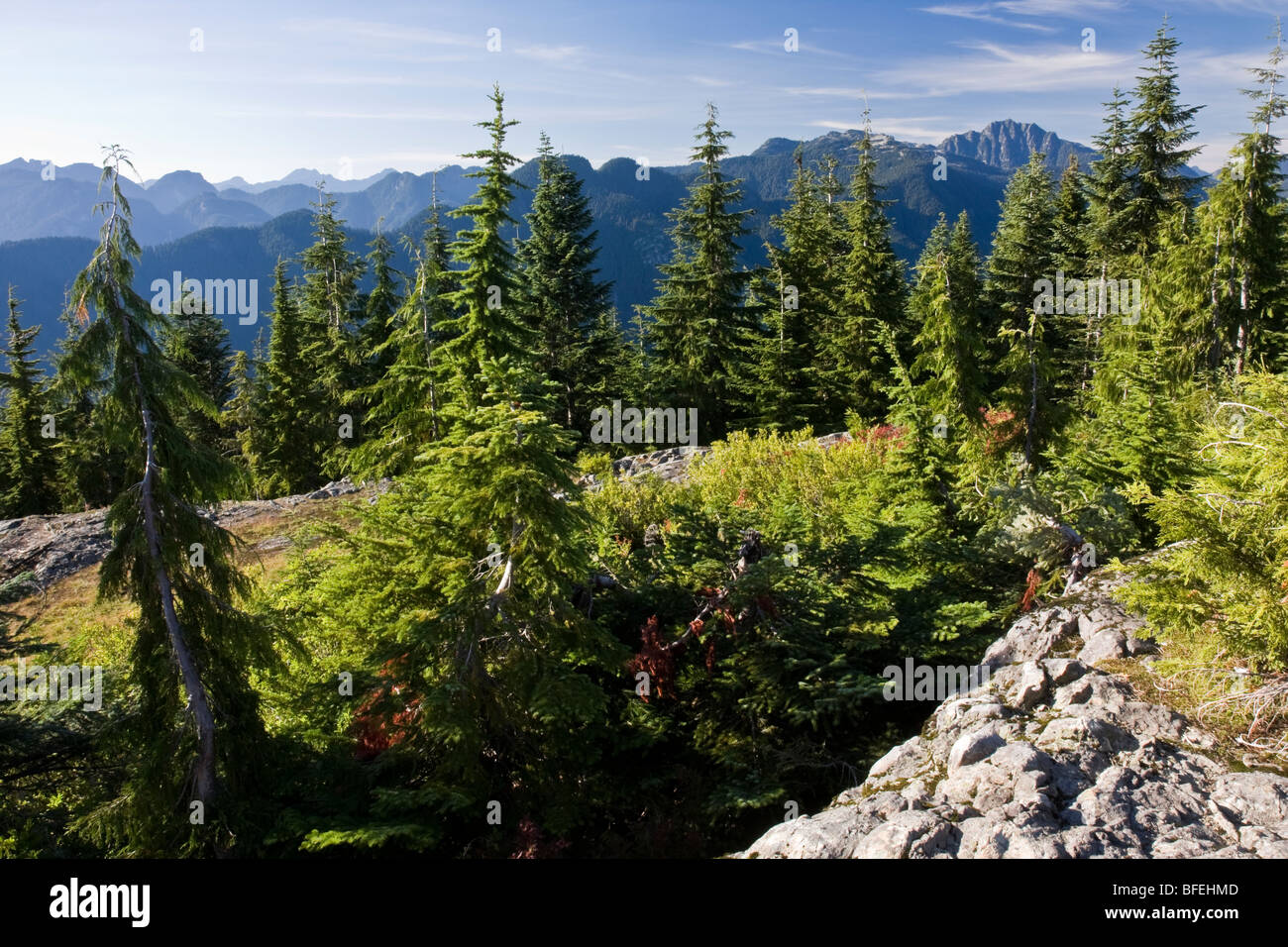 Vue du haut de la montagne chien à Mount Seymour Provincial Park, à North Vancouver, British Columbia, Canada Banque D'Images