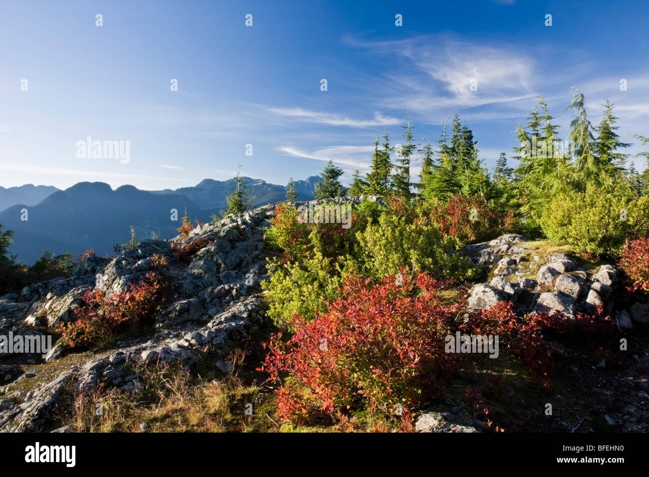 Vue du haut de la montagne chien à Mount Seymour Provincial Park, à North Vancouver, British Columbia, Canada Banque D'Images