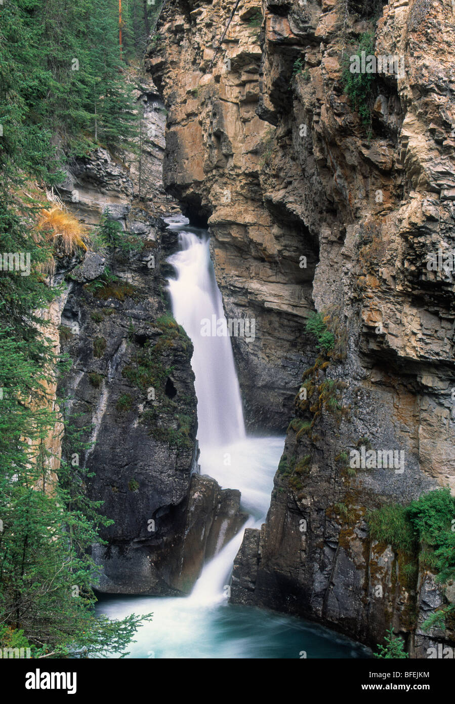 Johnston Canyon Lower Falls, parc national Banff, Alberta, Canada Banque D'Images