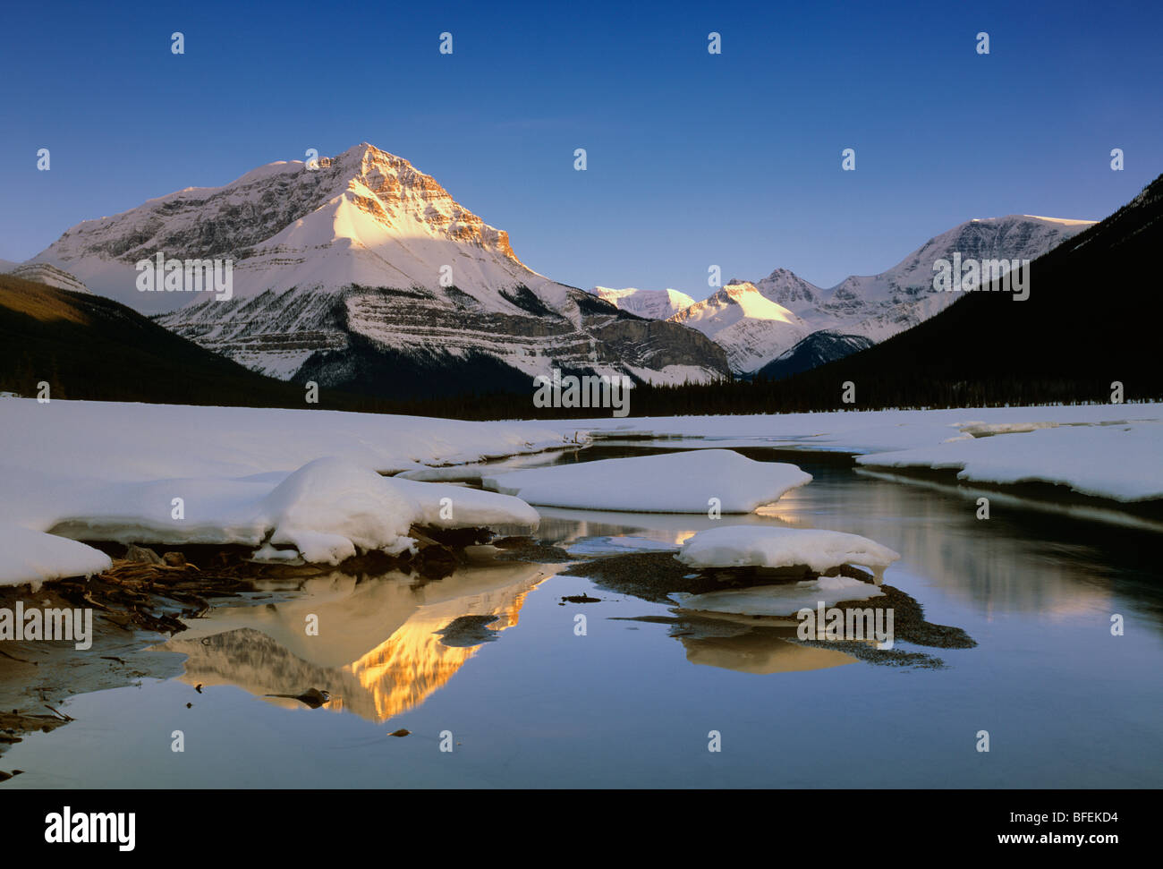 La rivière Sunwapta avec pic Sunwapta et Mont Kitchener en hiver, Jasper National Park, Alberta, Canada Banque D'Images