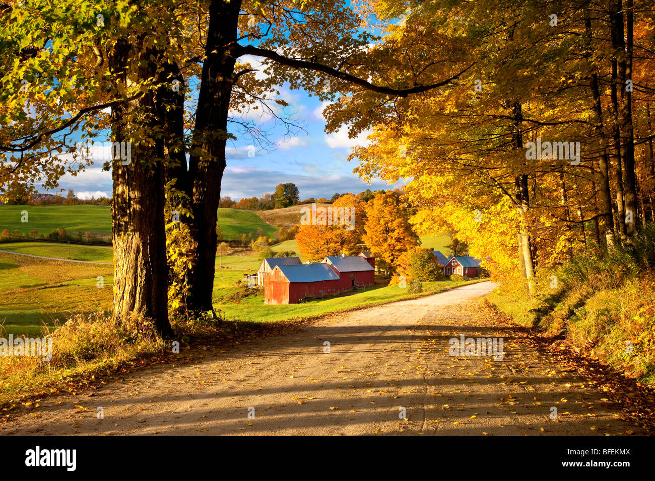 Dawn en automne à la ferme près de Jenné South Woodstock Vermont USA Banque D'Images