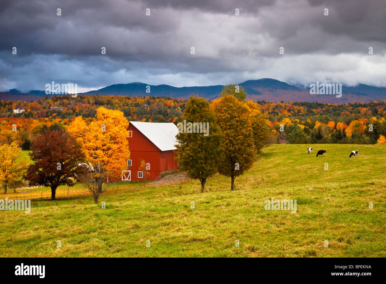 Voir l'automne de grange près de Stowe, Vermont, Etats-Unis Banque D'Images