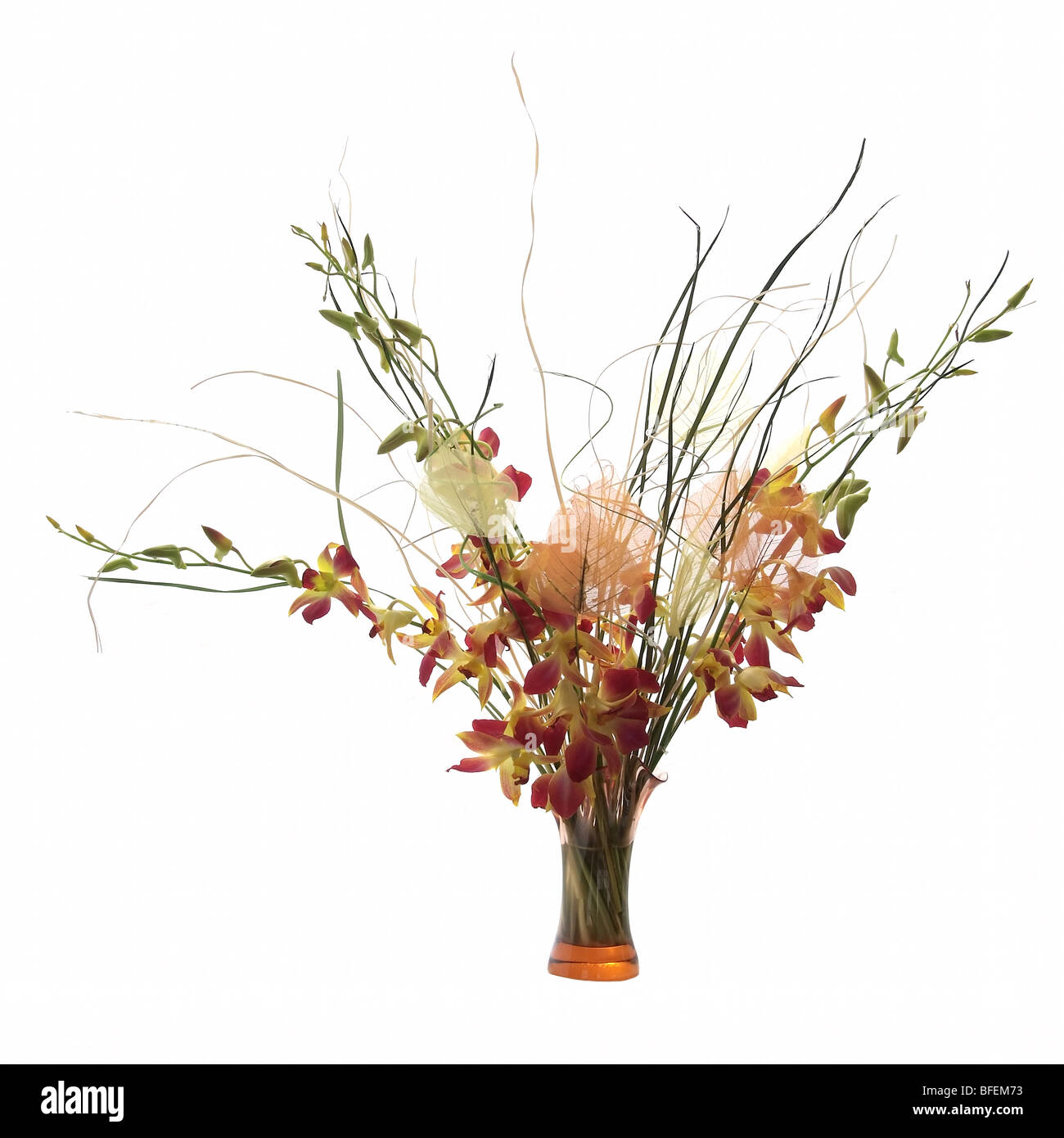 Bouquet d'orchidées dans le vase. Isolé sur fond blanc Banque D'Images