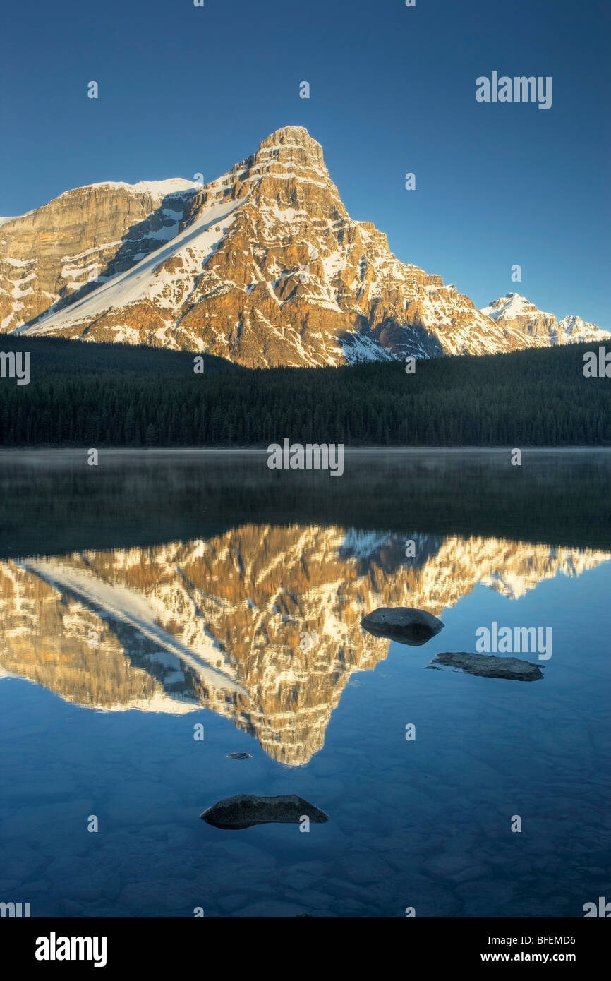 Le Lac de la sauvagine supérieure avec le Mont Chephren, Banff National Park, Alberta, Canada Banque D'Images