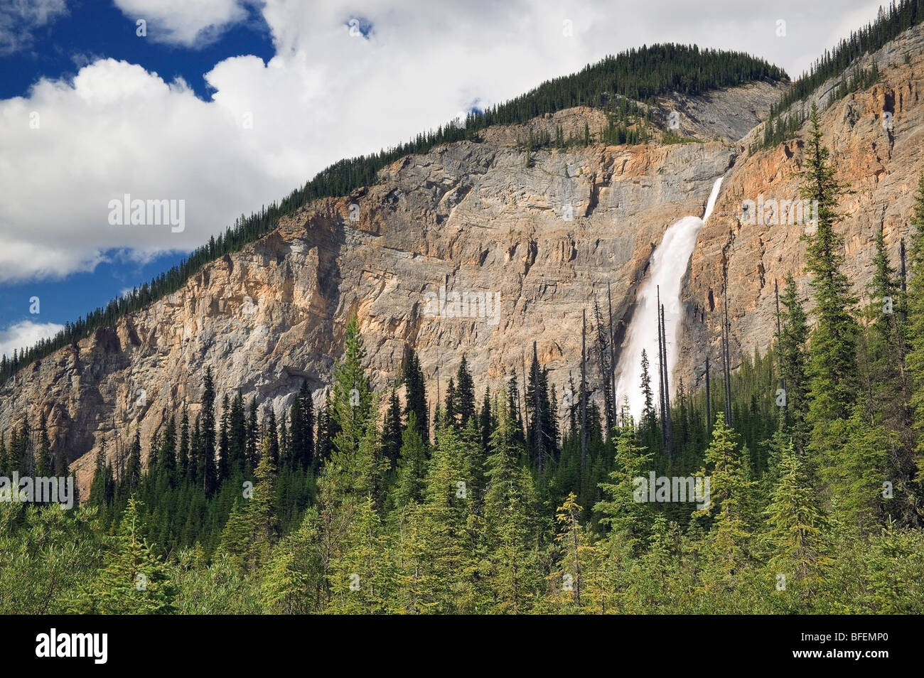 Les chutes Takakkaw, Parc national Yoho, Colombie-Britannique, Canada Banque D'Images