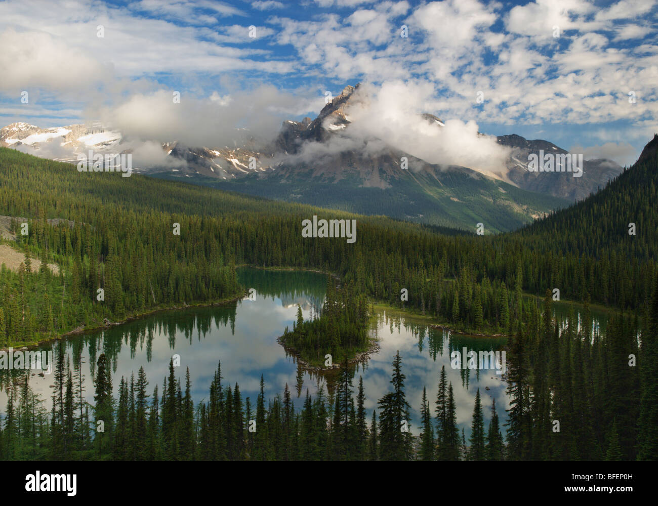 Cathedral Mountain, gloire du matin, le lac O'Hara, le parc national Yoho, Colombie-Britannique, Canada Banque D'Images