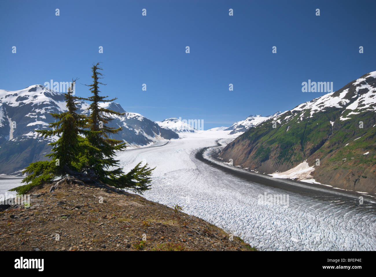 Glacier Salmon, British Columbia, Canada Banque D'Images