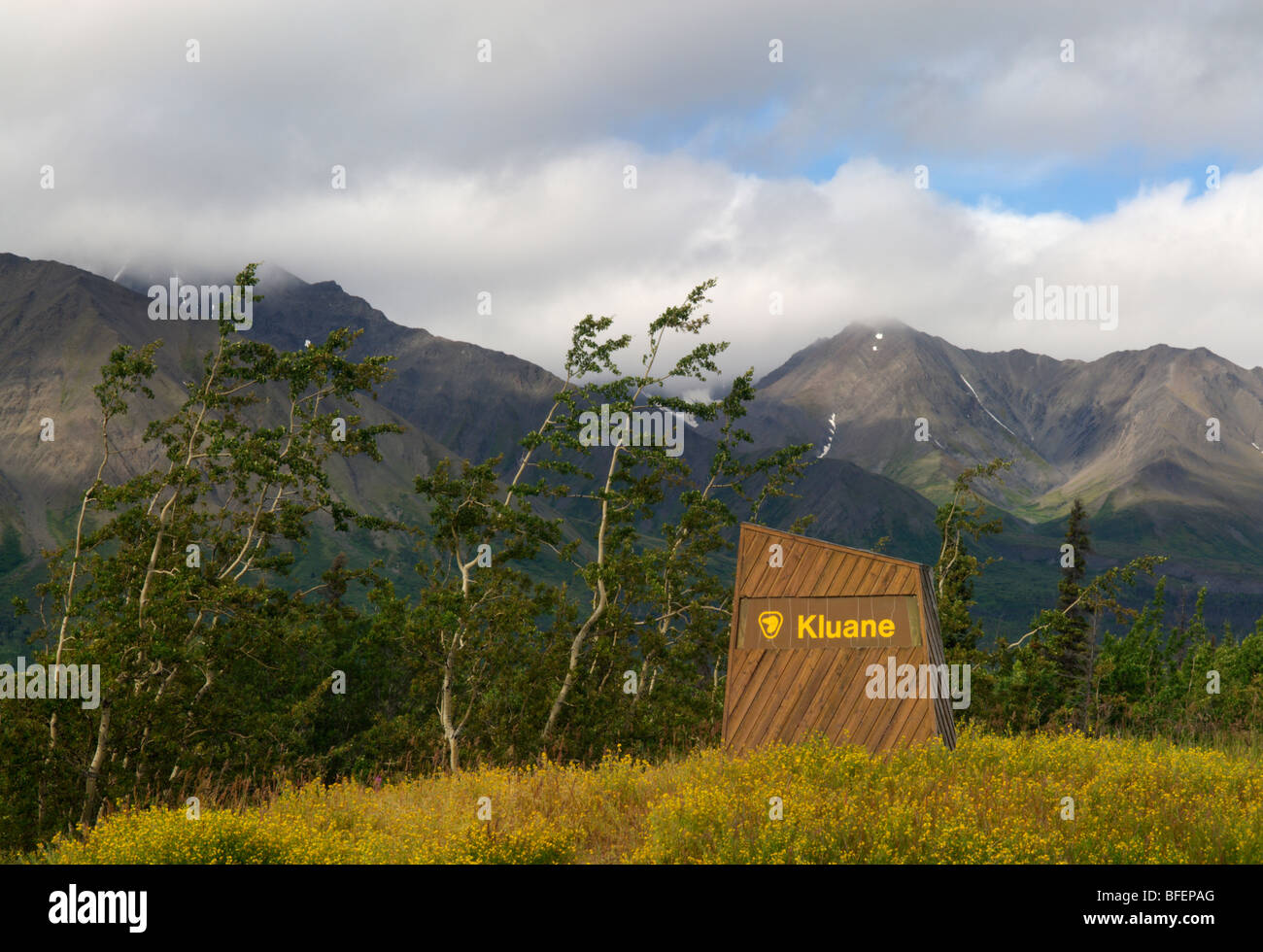 Signe, la réserve de parc national Kluane, Yukon Territory, Canada Banque D'Images