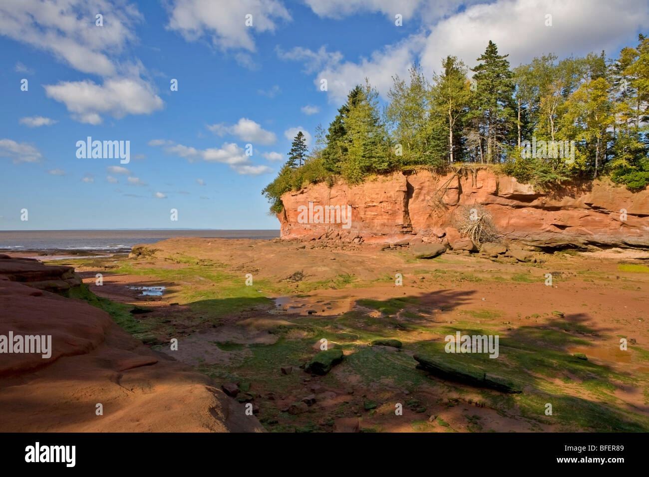 Burntcoat Head Park, de Cobequid Bay, Nova Scotia, Canada Banque D'Images