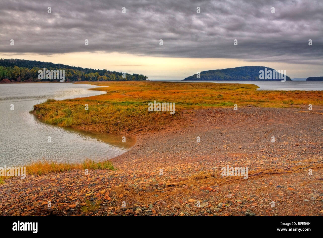 Marais de sel près de l'économie, cinq îles, Nova Scotia, Canada Banque D'Images