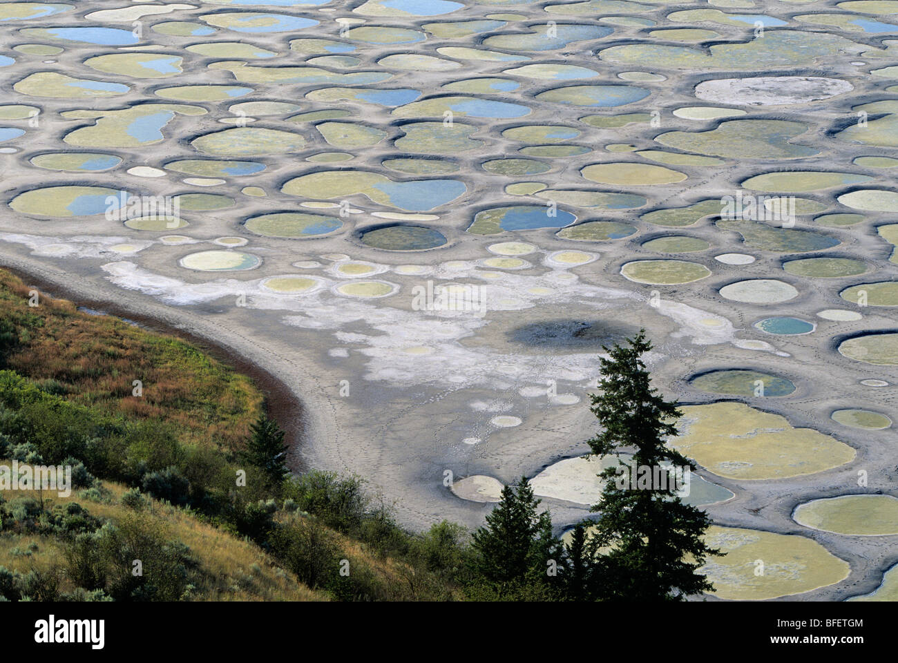 Lac tacheté près d'Osoyoos, Colombie-Britannique, Canada Banque D'Images