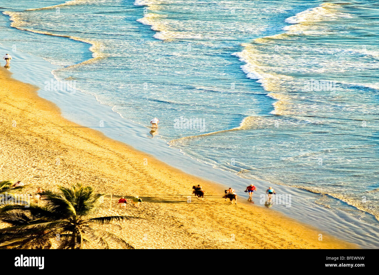 Personnes à pied et l'équitation sur la plage, dans la Zona Dorada de El Cid Resort ; Mazatlan, Sinaloa, Mexique. Banque D'Images