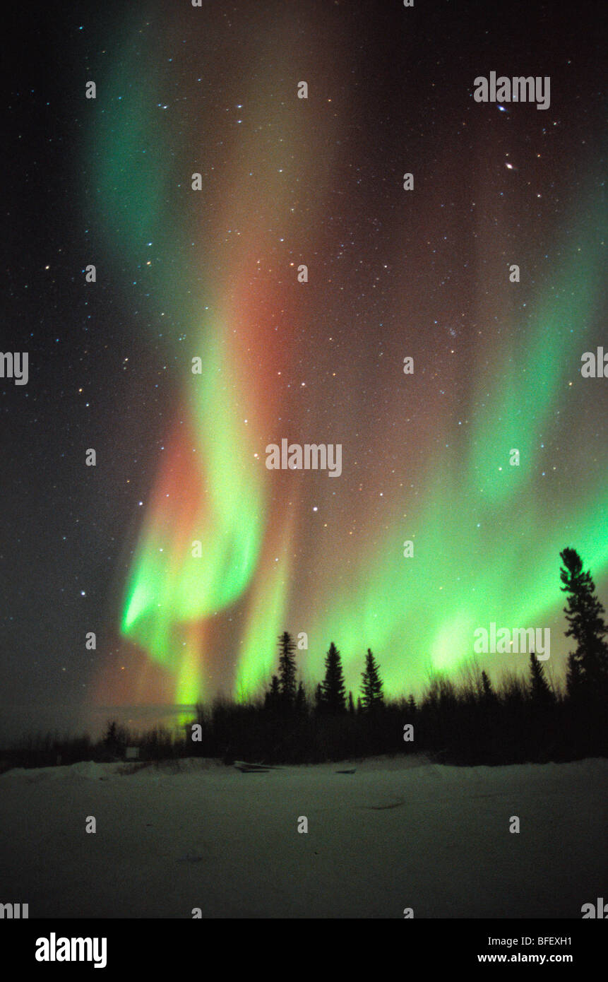 Aurora Borealis ou Northern Lights, Territoires du Nord-Ouest Banque D'Images