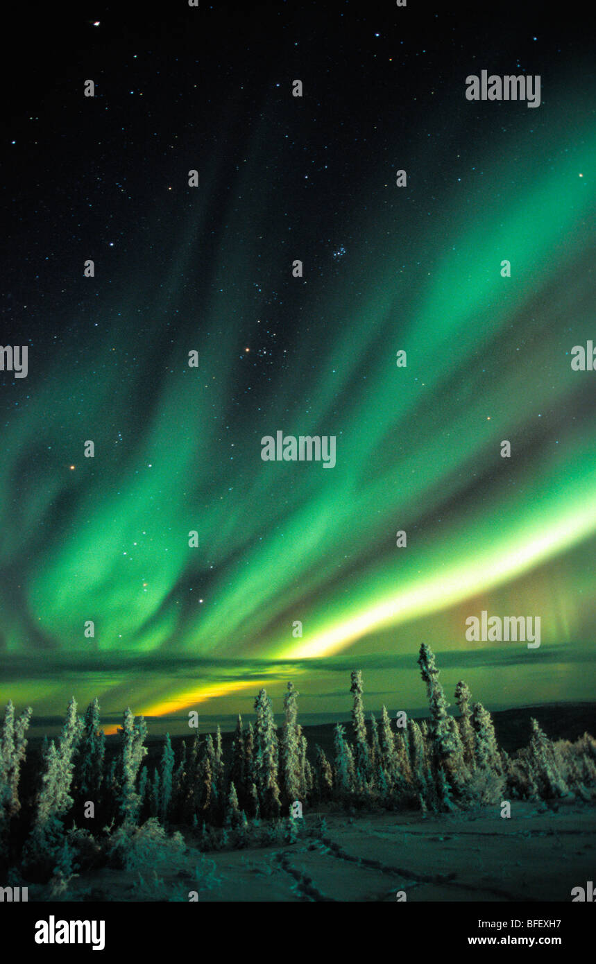 Aurora Borealis ou Northern Lights, au Yukon. Banque D'Images