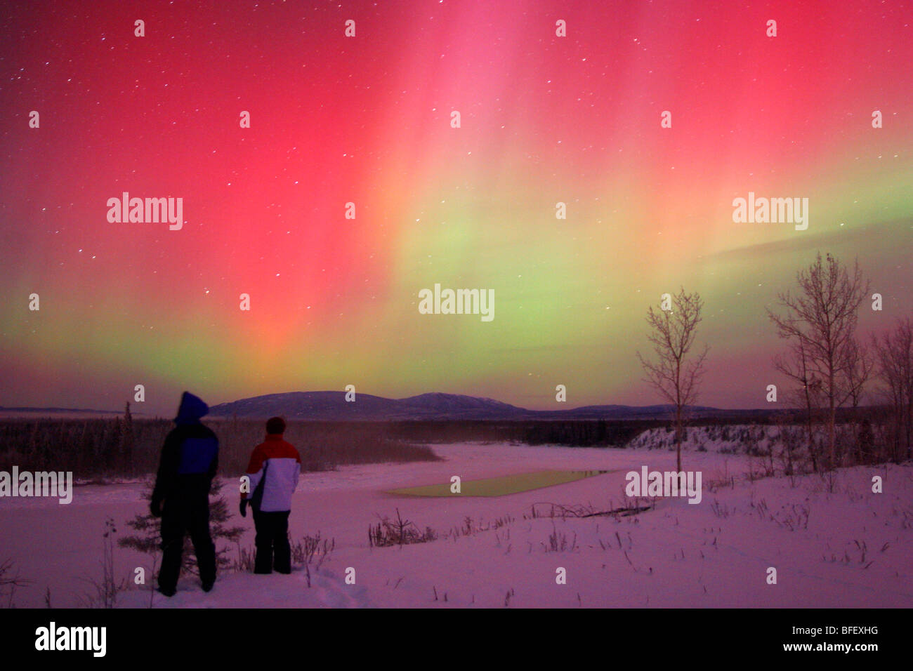 Regarder les gens Aurore boréale ou Northern Lights, au Yukon. Banque D'Images