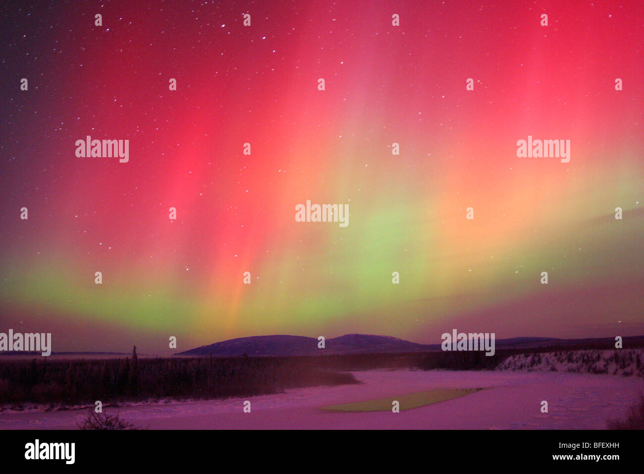 Aurora Borealis ou Northern Lights, au Yukon. Banque D'Images