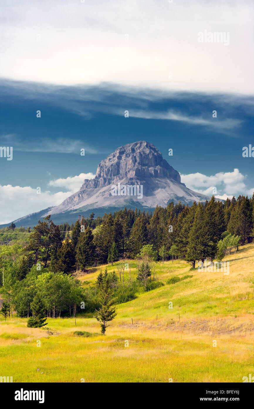 Nid-de-Mountain, Alberta, Canada, Rocheuses Banque D'Images