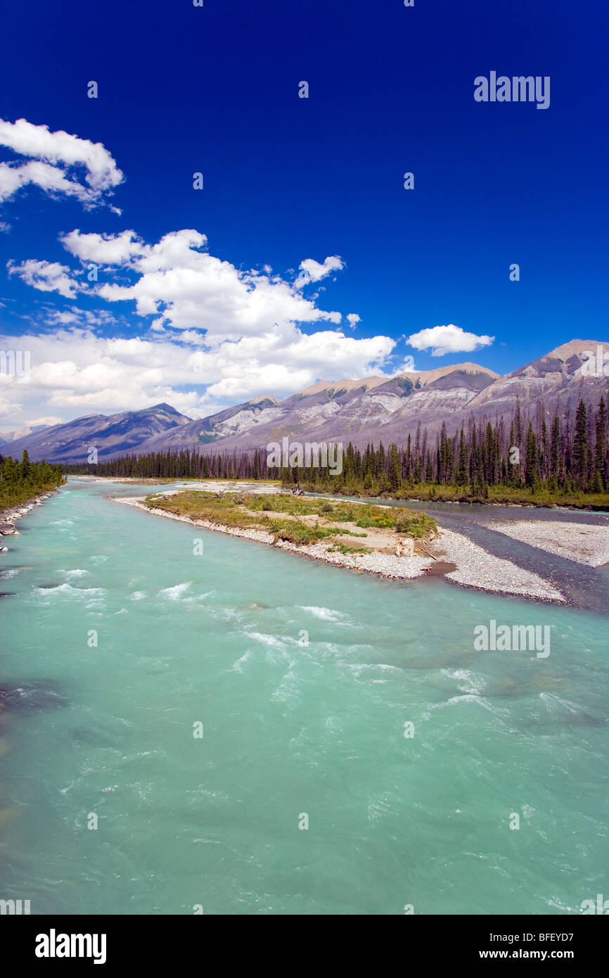 Rivière Kootney Kootney, Parc National, British Columbia, Canada, Montagnes Banque D'Images