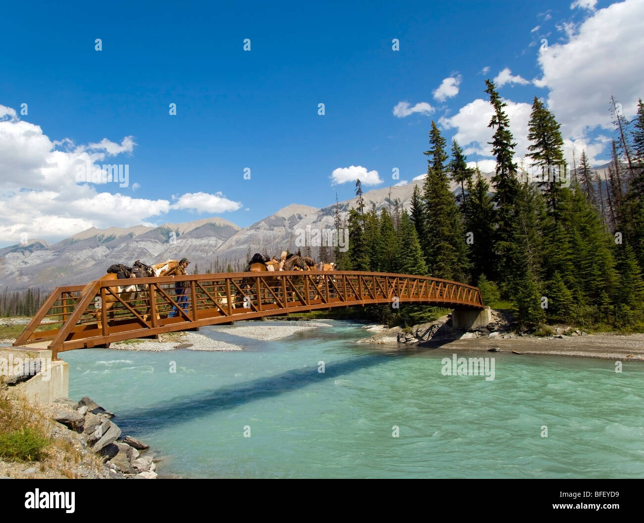 Chevaux marche sur le pont de la rivière Kootenay, parc national de Kootenay en Colombie-Britannique, Canada, école, les gens Banque D'Images