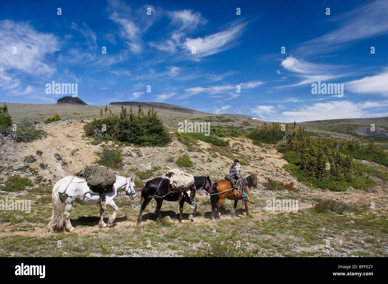 Trail riders qui voyagent à travers la montagne Itcha dans British Columbia Canada Banque D'Images