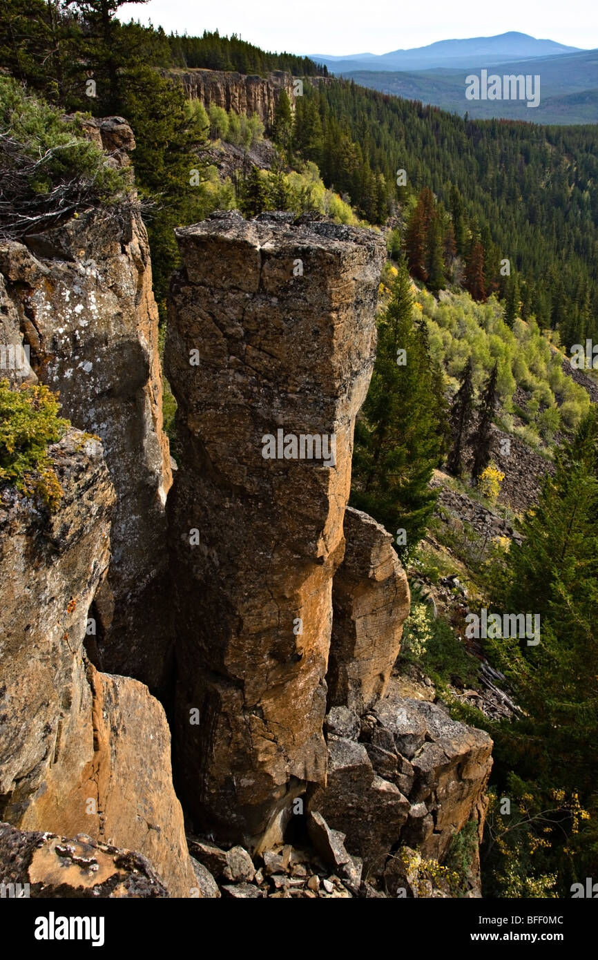 Colonnes de basalte dans le précipice dans la région de Chilcotin de British Columbia Canada Banque D'Images
