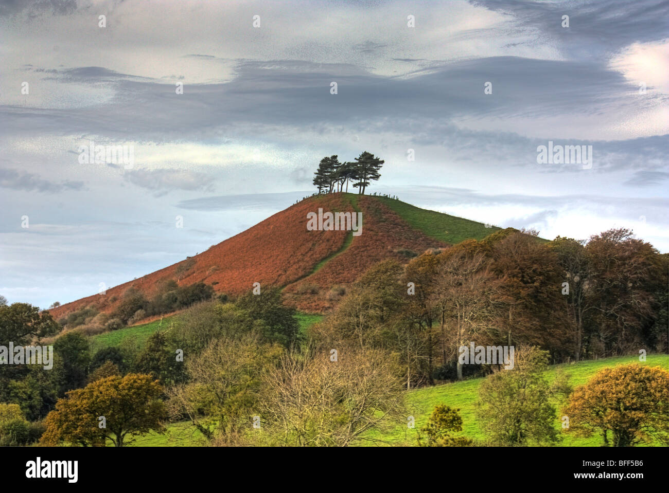 Colmers Hill, Bridport, Dorset Banque D'Images