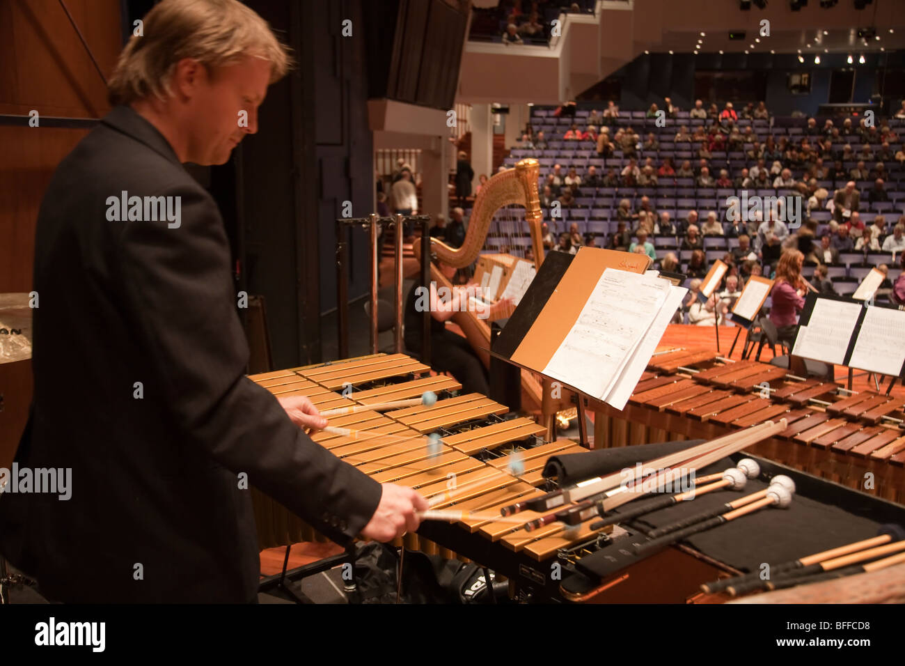 Xylophone Banque d'image et photos Alamy