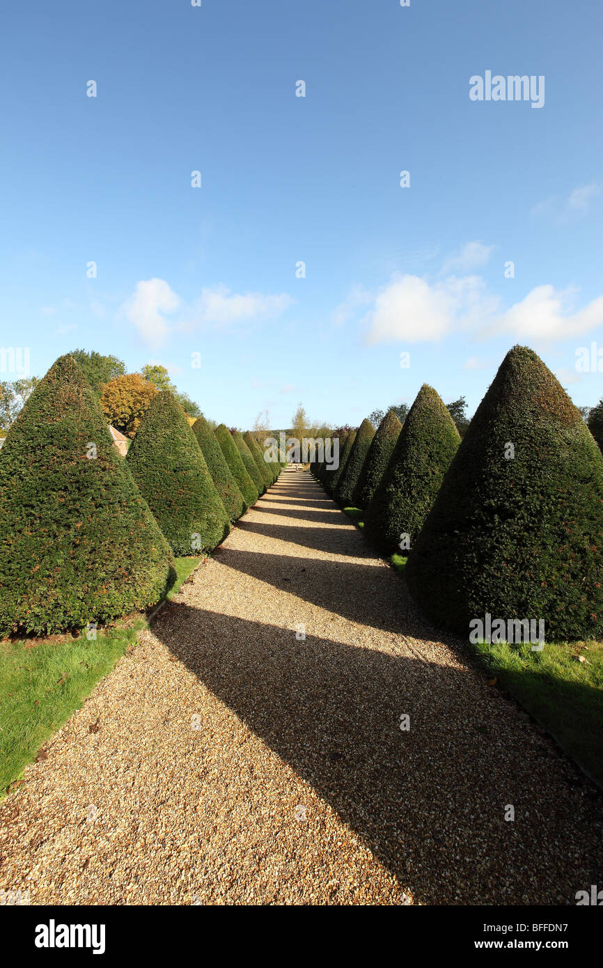 Chemin bordé d'arbres en Littlecote House gardens Angleterre Berkshire Banque D'Images
